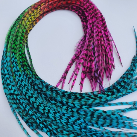 PROMO 10 plumes Arc en ciel FINES 30+ cm longues, rayées