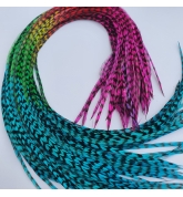 PROMO 10 plumes Arc en ciel FINES 30+ cm longues, rayées