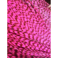 Pluma rayada rosa 25-30 cm