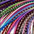 Lot 150 plumes (20-24cm) L