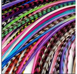 Lot 150 plumes (20-24cm) L