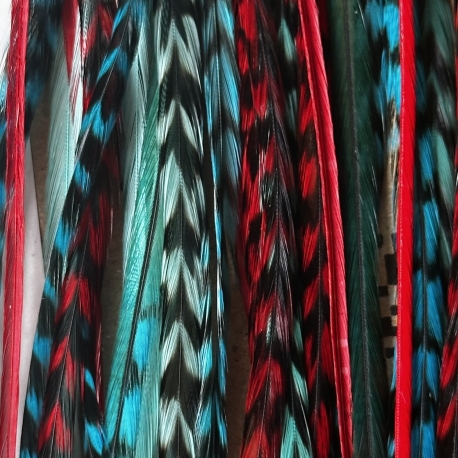 Assortiment 5 plumas Ariel 25-30 cm XL