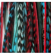 Assortiment 5 plumes Ariel 25-30 cm XL