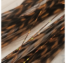 pluma de angel chocolate