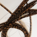 Plume rayée chocolat et cheveux d'anges brillants
