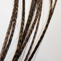 Plume rayée chocolat et cheveux d'anges brillants