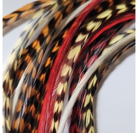l'été Indien XL 5 plumes