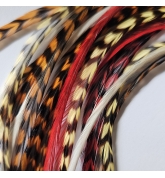 Assortiment l'été Indien XL 5 plumes