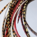 Assortiment l'été Indien XL 5 plumes