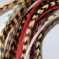Automn Colors Assortiment 5L