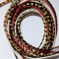 Assortiment l'été Indien 5 plumes 20-25cm