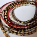 Automn Colors Assortiment 5L