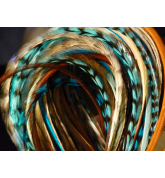Assortiment Nature Turquoise XL 5 plumes