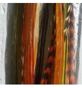 Assortiment Nature d'Automne XL 5 plumes