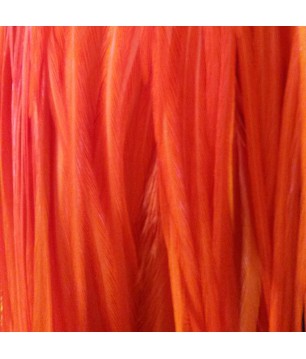 Plain bright orange L