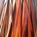 Light brown XL