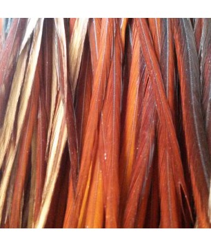Pluma ardilla XL