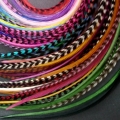 Lot 30 plumes (20-24cm) L