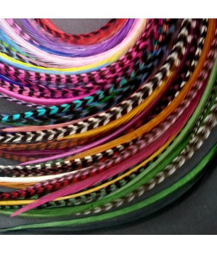 Lot 30 plumes (20-24cm) L