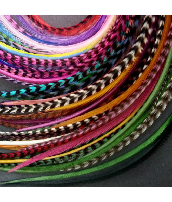 Lot 30 plumes (20-24cm) L Lot 30 plumes (20-24cm) L