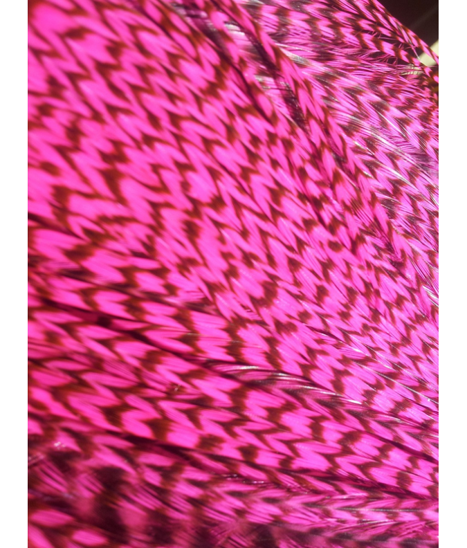 Grizzly Bright Fluorescent Pink XL Grizzly Bright Fluorescent Pink XL
