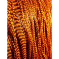 Orange rayada XXL 30-35cm