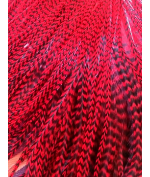 Rouge passion rayé XXL 30-35cm