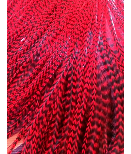 Rouge passion rayé XXL 30-35cm