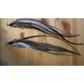 Earrings with XLong Natural Feathers & Silver Hook