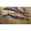 Boucle d'oreille 1 boucle EXTRA longues plumes naturelles et attache argent
