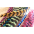 20 fluffy feathers XL 24cm+