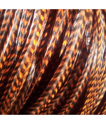 Lot 10 rayées choco 25-30cm + fines DESTOCK