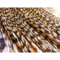 Lot 5 plumes naturellement fauve fines 18/22cm MEGA PROMO