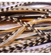 Batch of 20 Feathers natural (20 to 24cm)