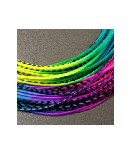 Lot 30 plumes multicolores (tie n dye) XL 24cm+