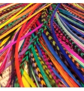 Lot 20 plumes L (20-24cm) uniquement couleur
