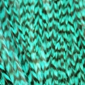 Bleu lagon rayée XXL