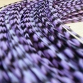 Pluma rayada violetta XL