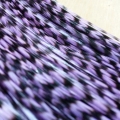 5 Plumes fines rayées violettes XL PROMO