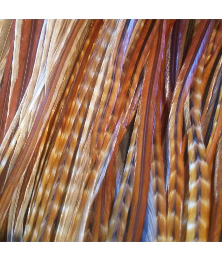 Plume blanche et noire XL