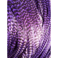 Pluma rayada violetta XL
