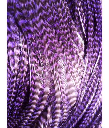 Plume rayée violette XXL 30-35 cm