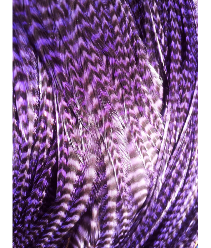 Pluma rayada violetta XL Pluma rayada violetta XL