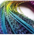 Plumes multicolores tie-dye